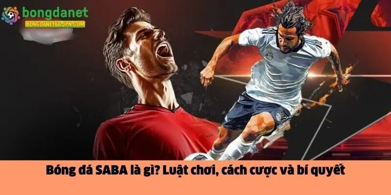 óng đá SABA là gì